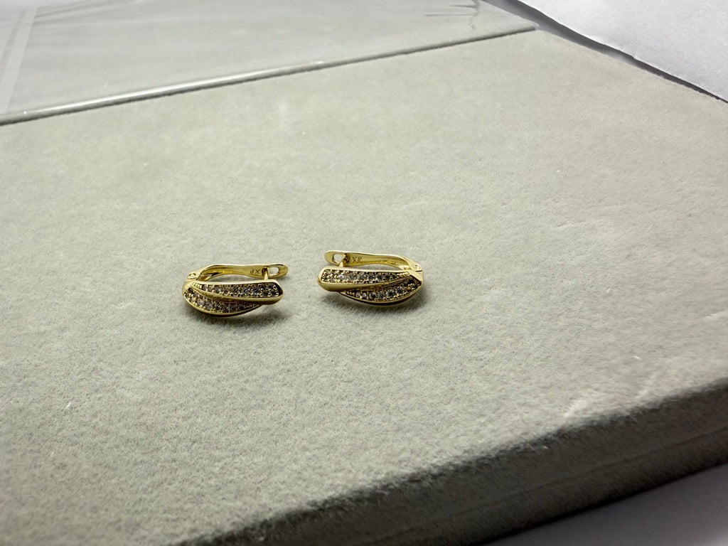 Pave Sparkle Hoop Earrings