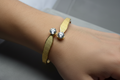 Twin Comet Bangle